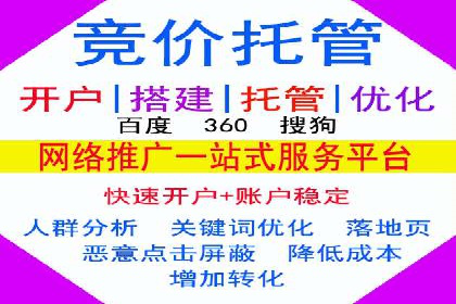 搜索引擎营销（SEM）专员的挑战与机遇